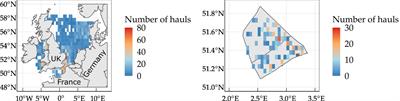 Distribution and sources of macrolitter on the seafloor in Belgian fisheries areas